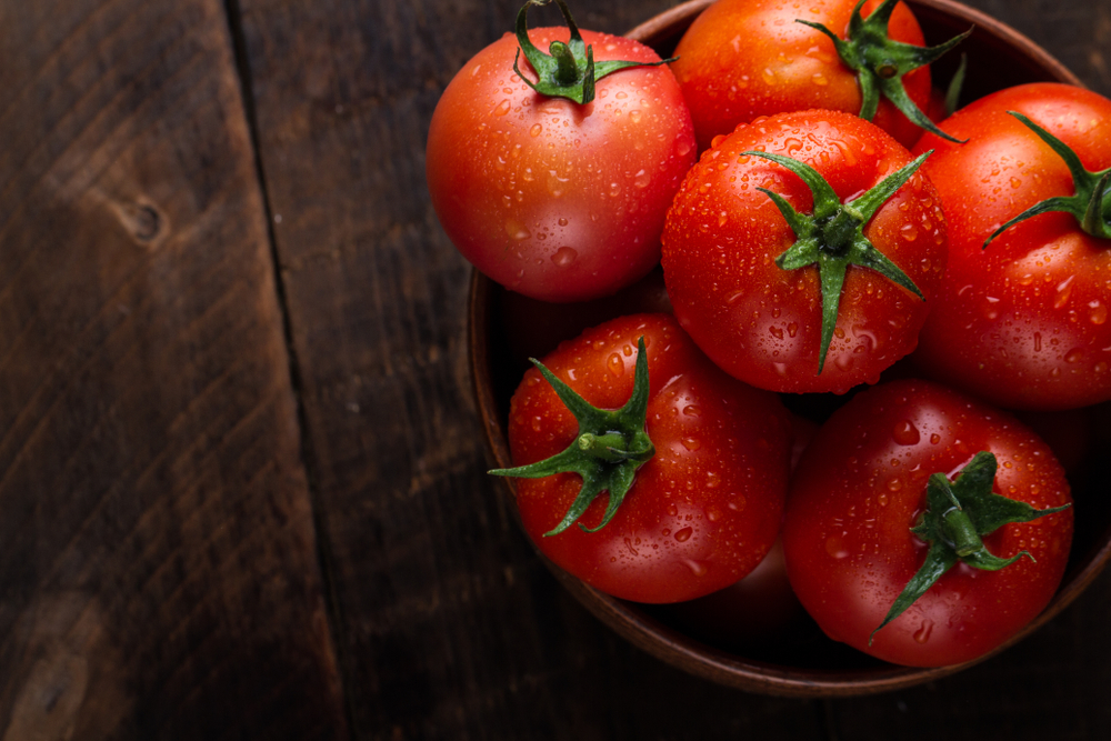 frische tomaten
